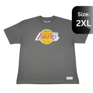 Mitchell Ness La Lakers Gray Basic Logo Tee Nba Mens Hardwood Classics Shirt